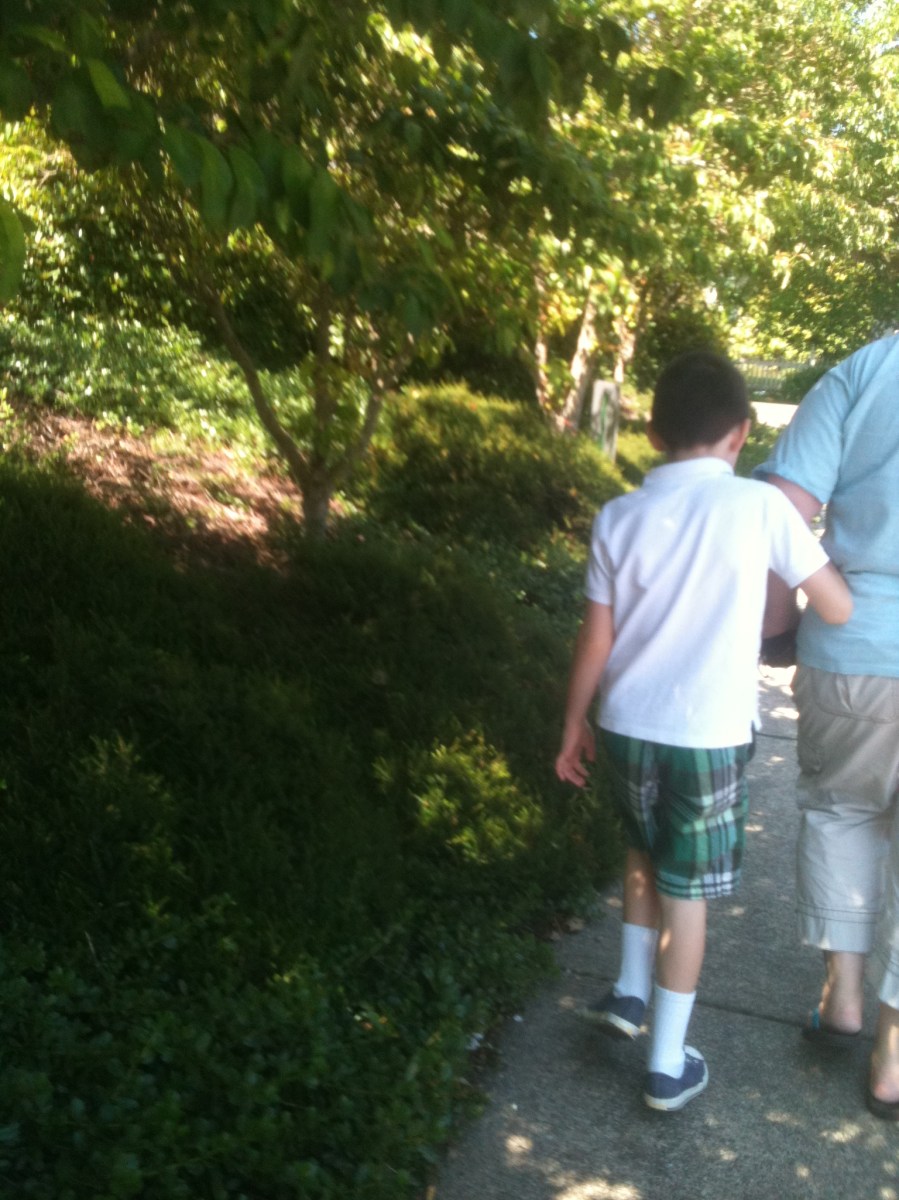 Losing interest in the walk